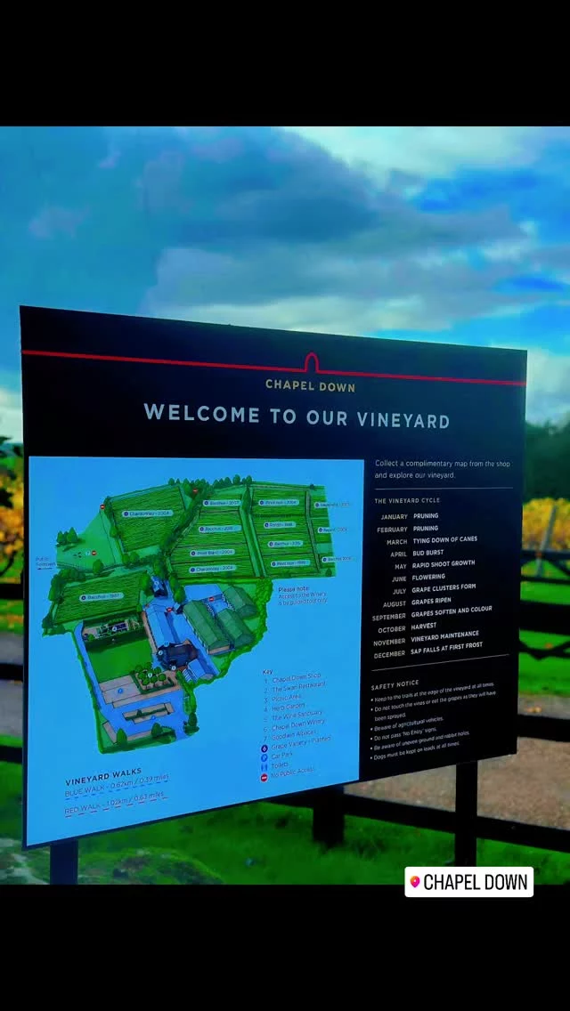 Big thank you to @chapeldown for showing us their beautiful vineyard and explaining some cool stuff, and yeah, we did try some incredible wines 🍷 😀 

#freshfoods #cozybar #publife #winenight #WineLover #winetime